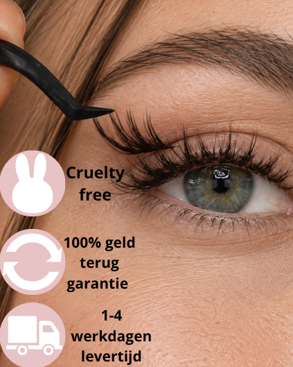Press on Lashes