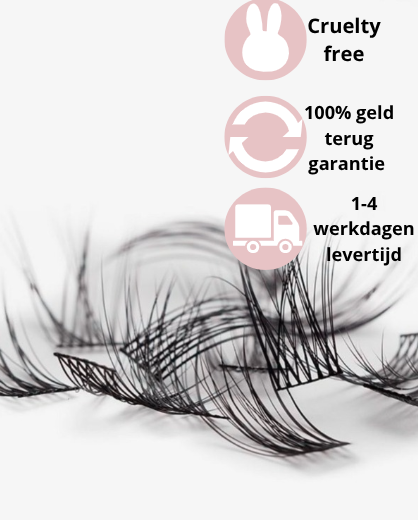 Lunea Lash kit